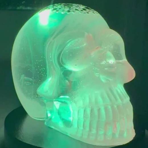 1 Oz Shot For Brains silver in resin skull - Image 7
