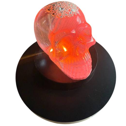 1 Oz Shot For Brains silver in resin skull - Image 6