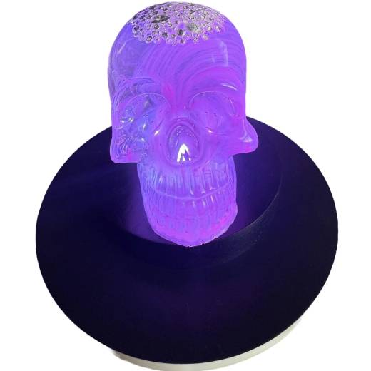 1 Oz Shot For Brains silver in resin skull - Image 5