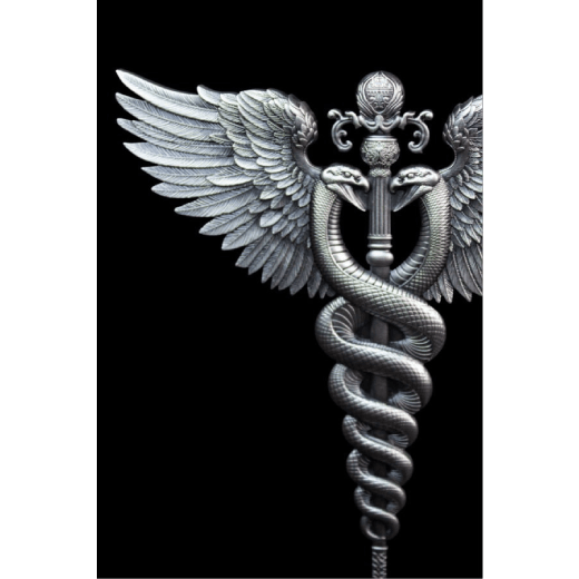 2.5 Oz Winged Staff Antique Silver Medal - Image 2